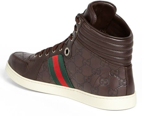 sneaker gucci coda chocolate brown
