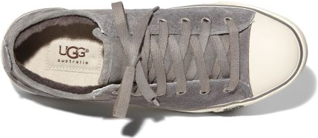 ugg sneaker evera pewter ugg sneaker evera pewter