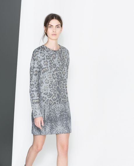 zara leopard print shirt dress