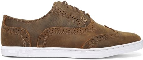 bed stu wingtip