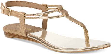 Calvin Klein Serenity Flat Thong Sandals in Gold (Desert Lizzard ...
