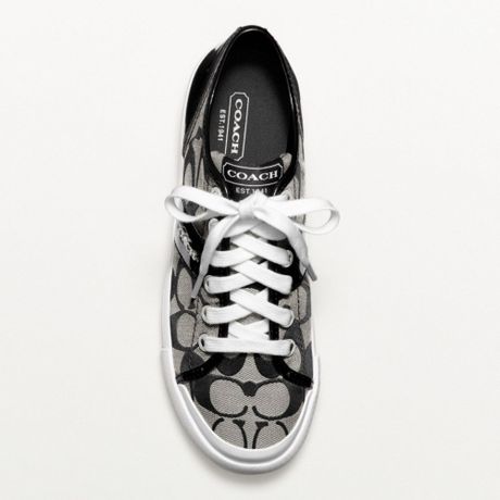 coach fillmore sneaker