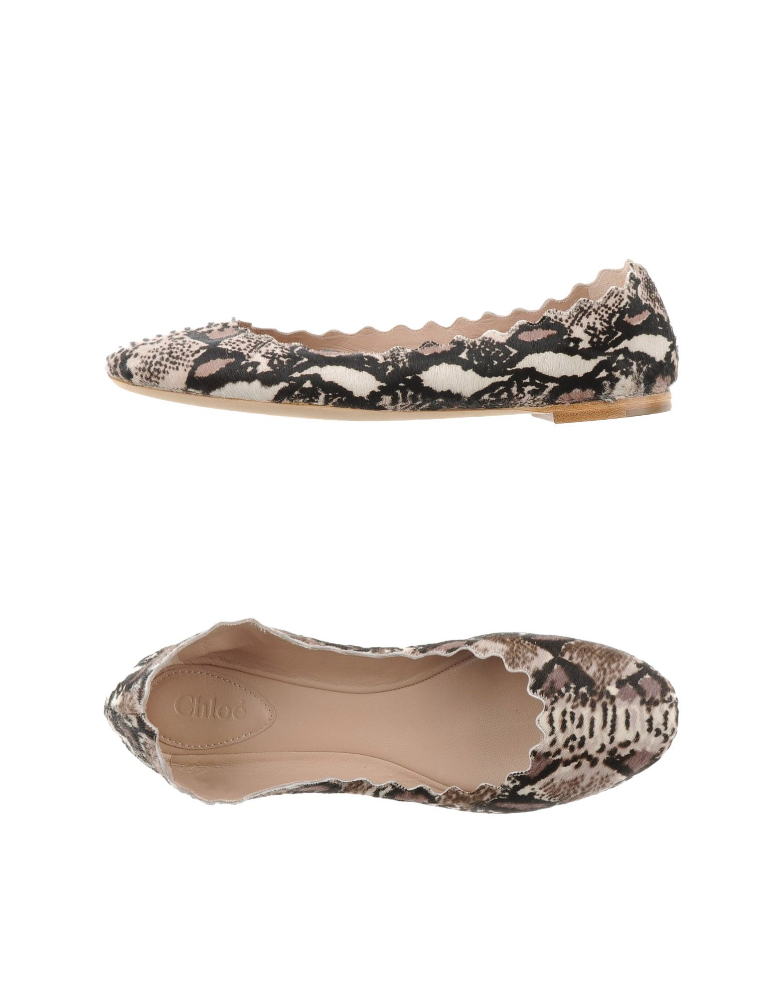chloe c flats