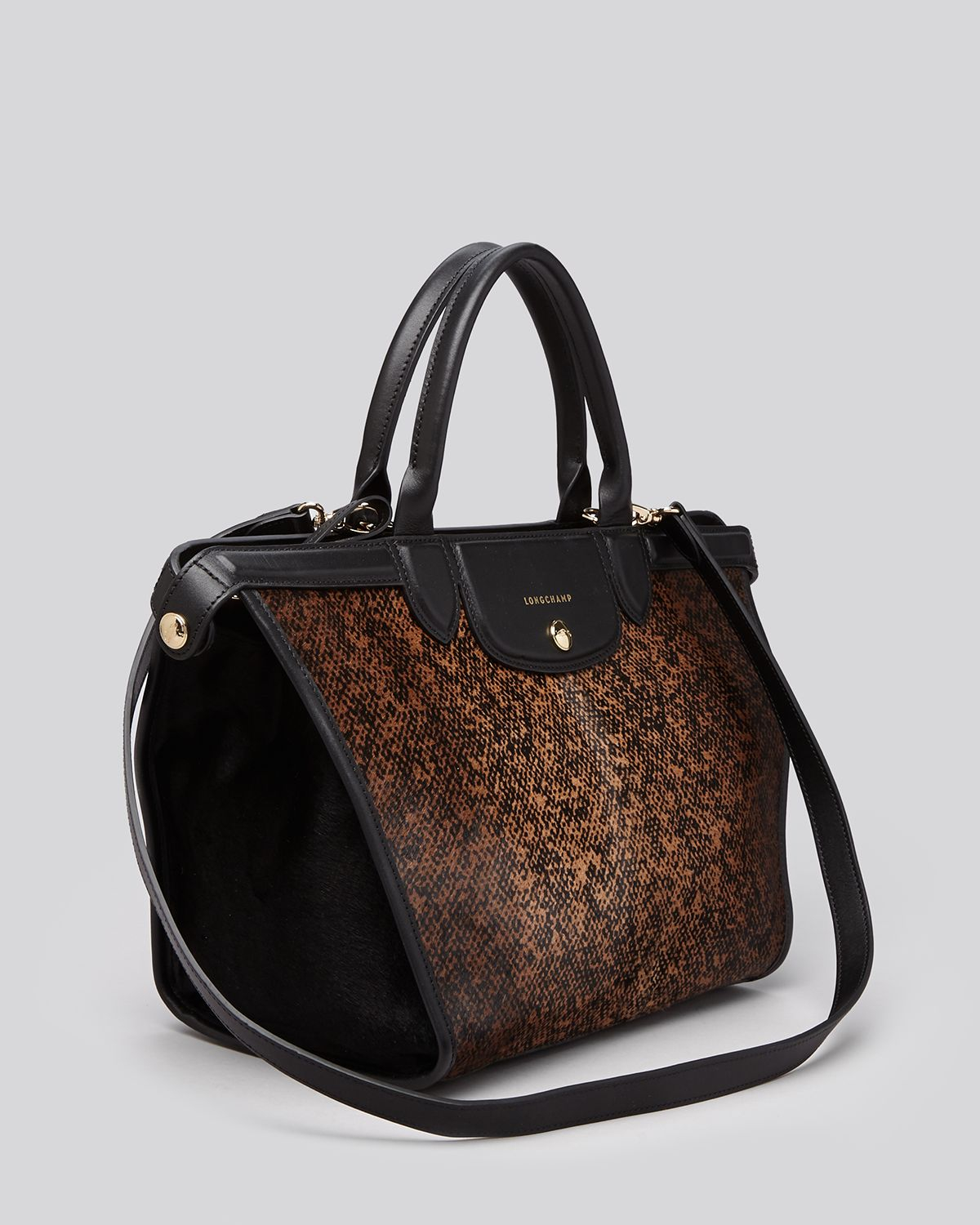 long champ satchel