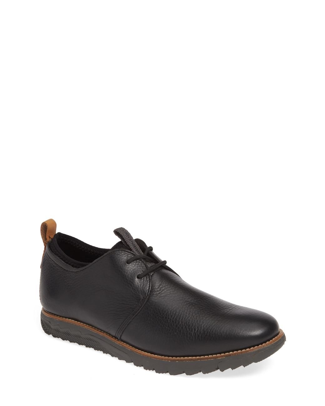 hush puppies cale derby