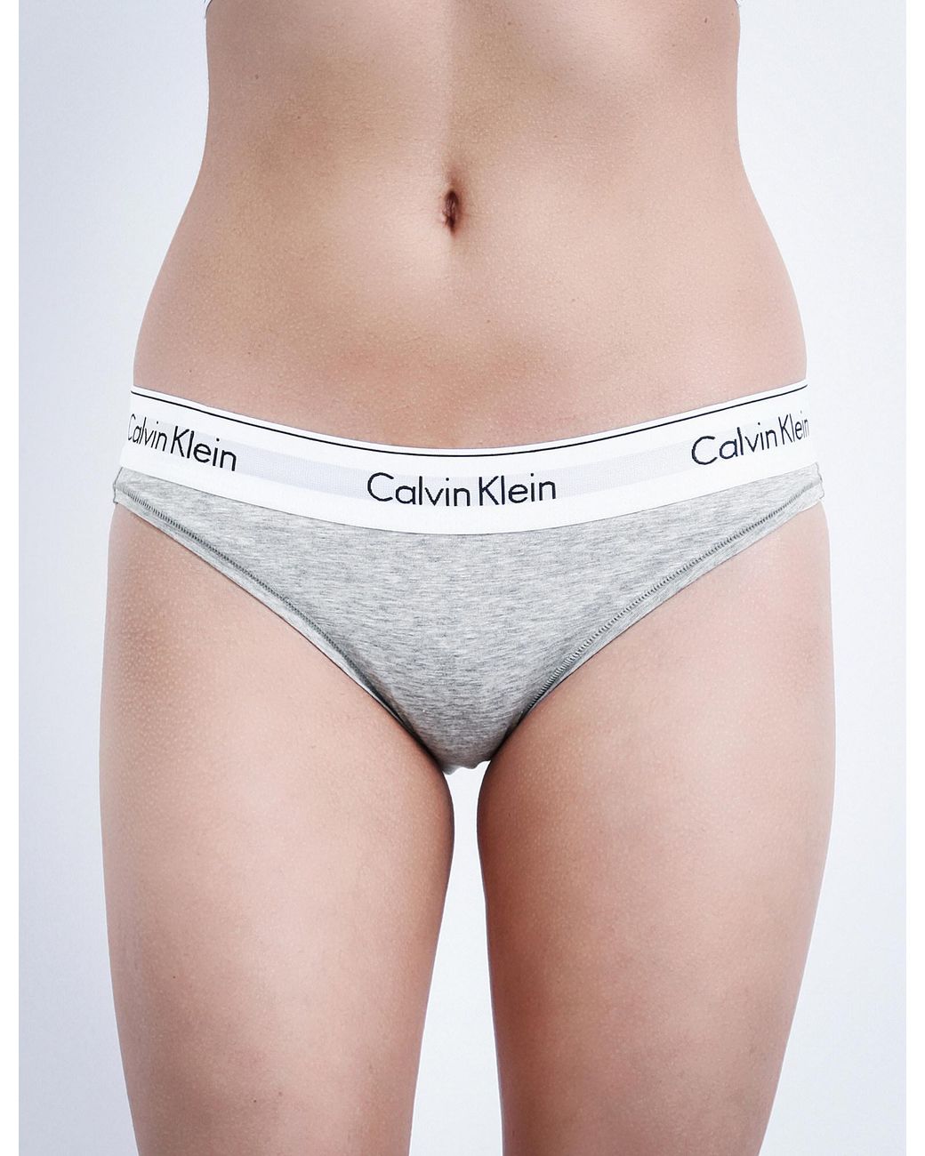 calvin klein modern bikini briefs