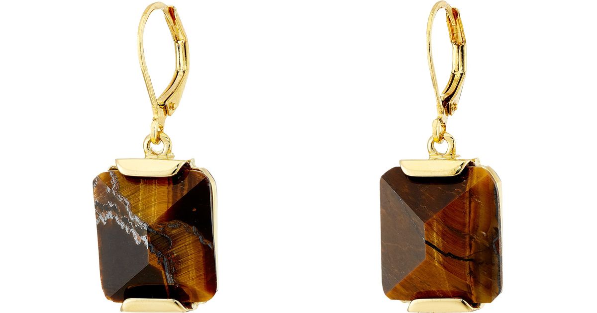 Lyst Vince Camuto Lever Back Tigers Eye Earrings In Metallic