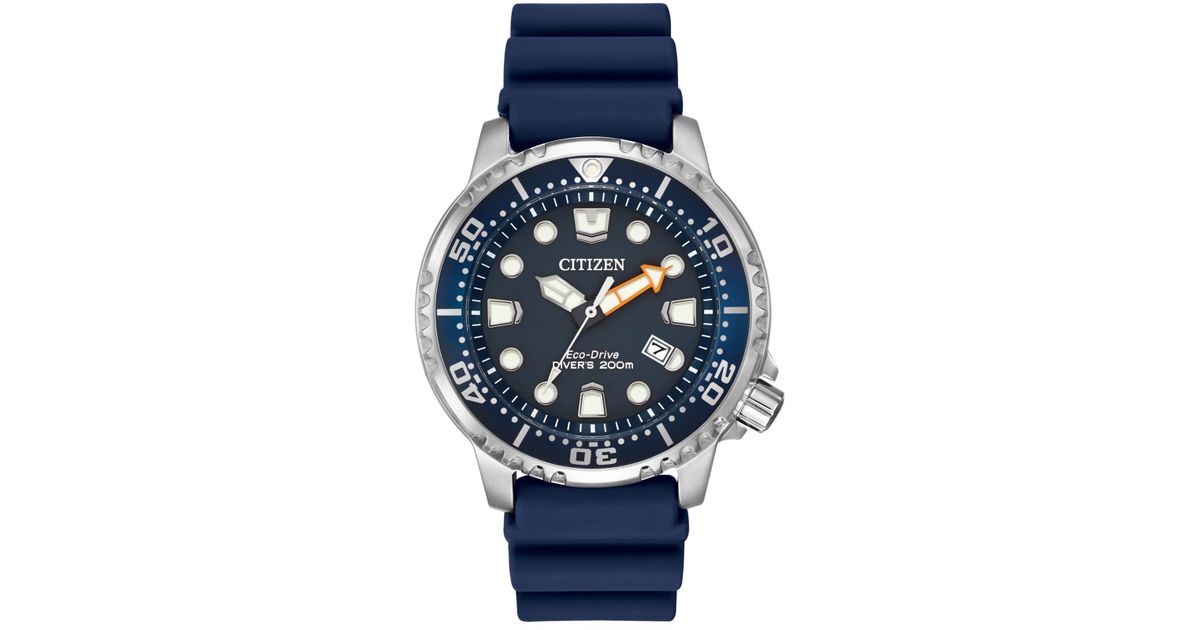 citizen promaster diver blue rubber strap watch