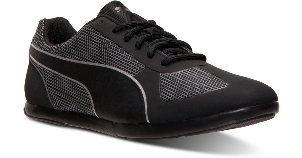 puma modern soleil puma modern soleil