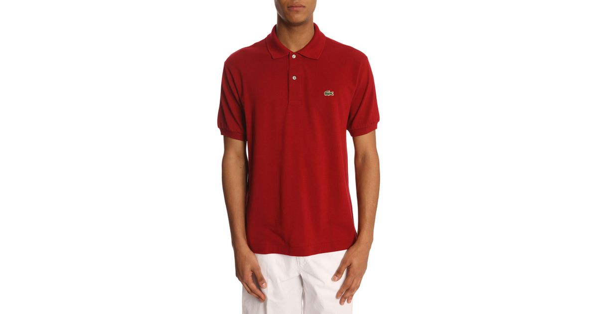 lacoste burgundy polo shirt