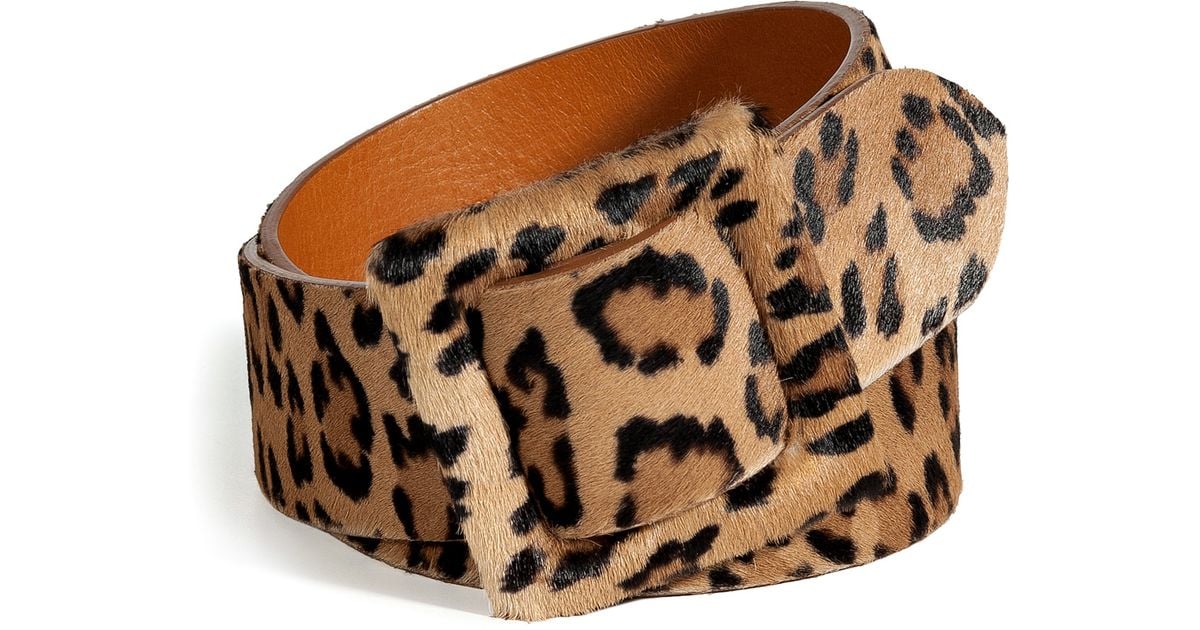 Lyst - Polo Ralph Lauren Camel Leopard Print Haircalf Belt