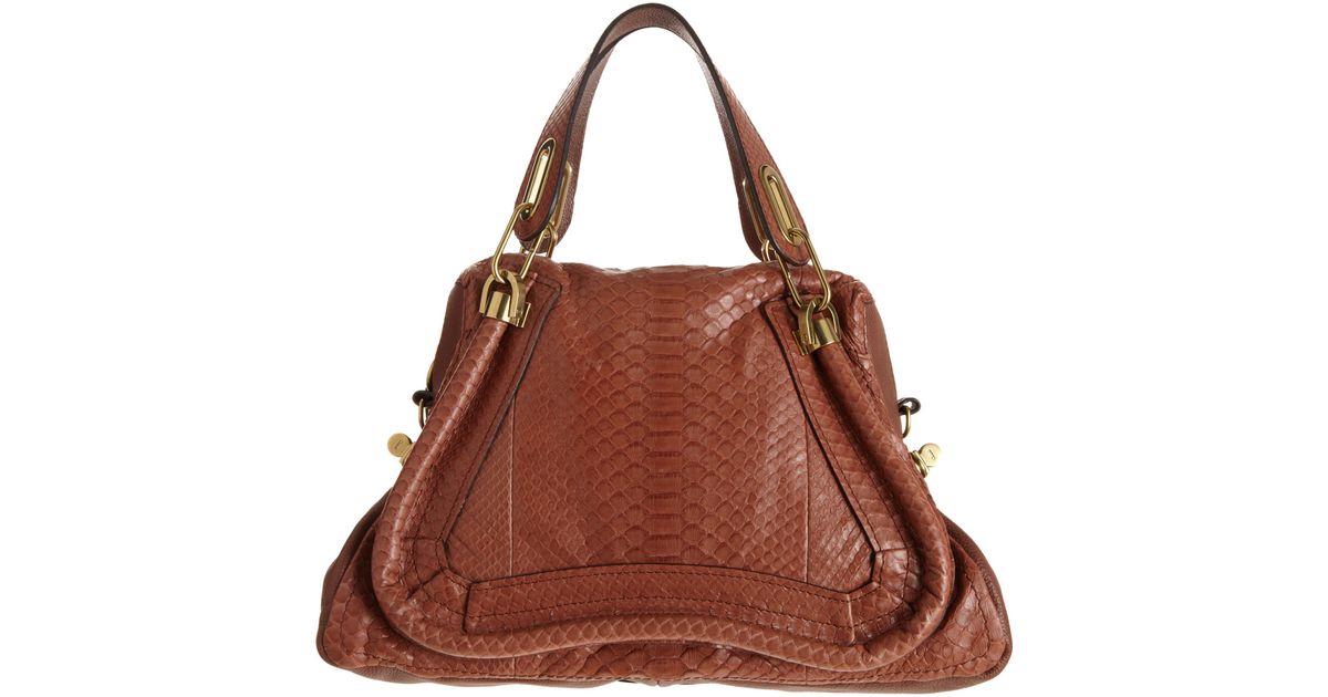 Chlo Medium Python Paraty Satchel with Strap in Brown (gold) | Lyst  