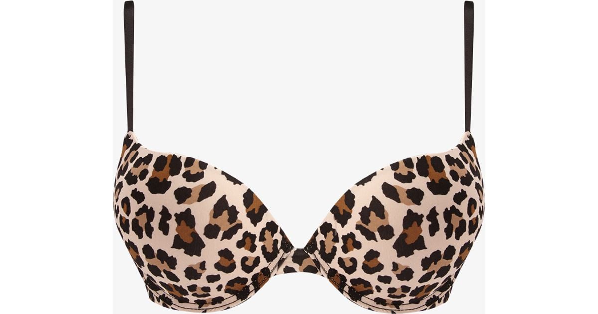 Lyst - Forever 21 Extreme Leopard Print Push Up Bra in Black