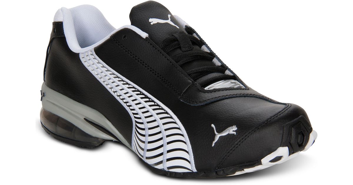 puma jago puma jago