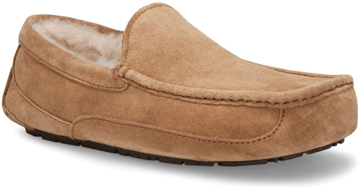 Ugg Australia Men&#39;s Ascot Slippers in Brown for Men | Lyst