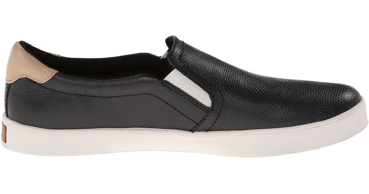 Dr Scholls Where To Buy Shoes Dr Scholls Where To Buy Shoes