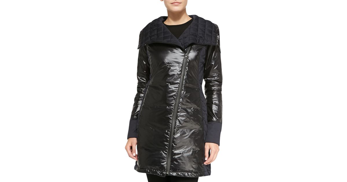 canada goose branta cassidy canada goose branta cassidy