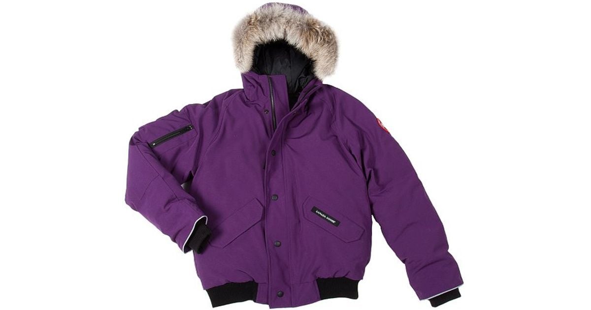 canada goose beige bomber canada goose beige bomber