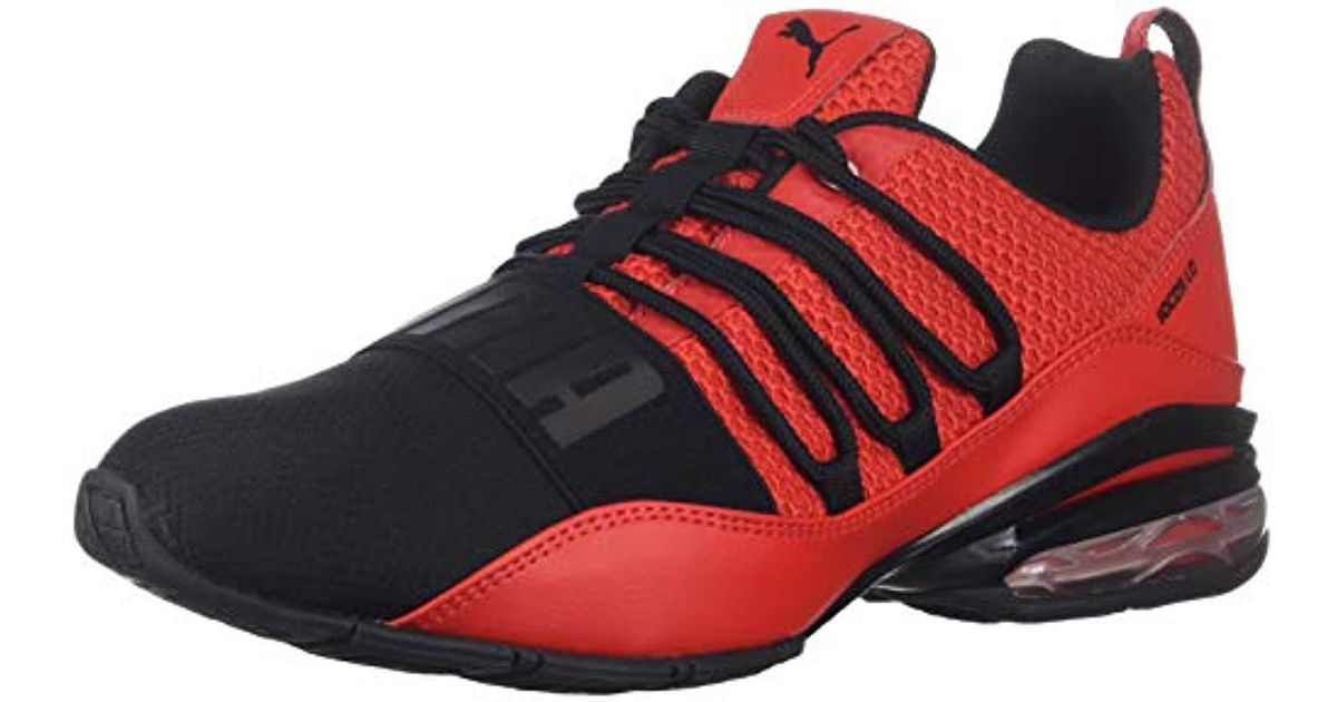 puma cell regulate winterized