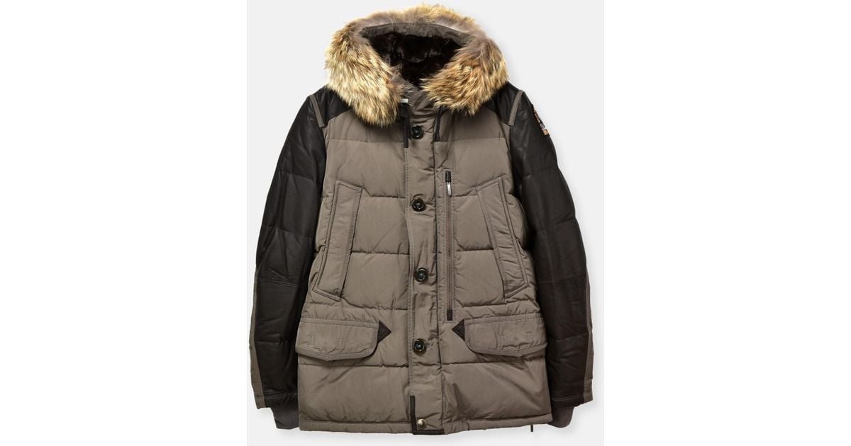 parajumpers dhole parajumpers dhole