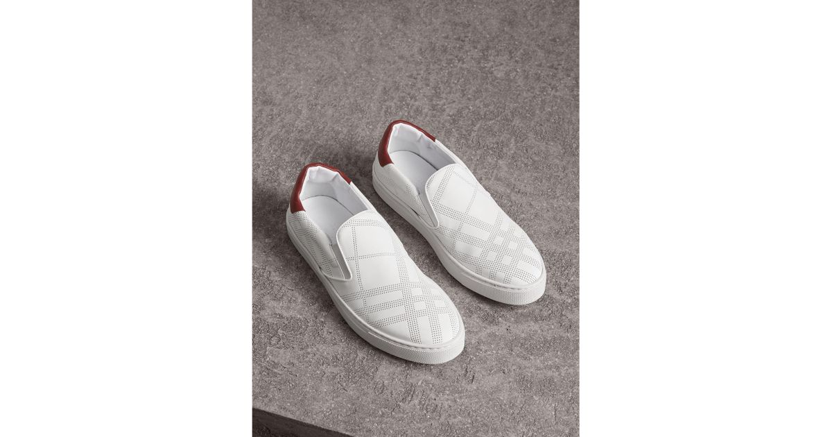 claret and blue trainers jd