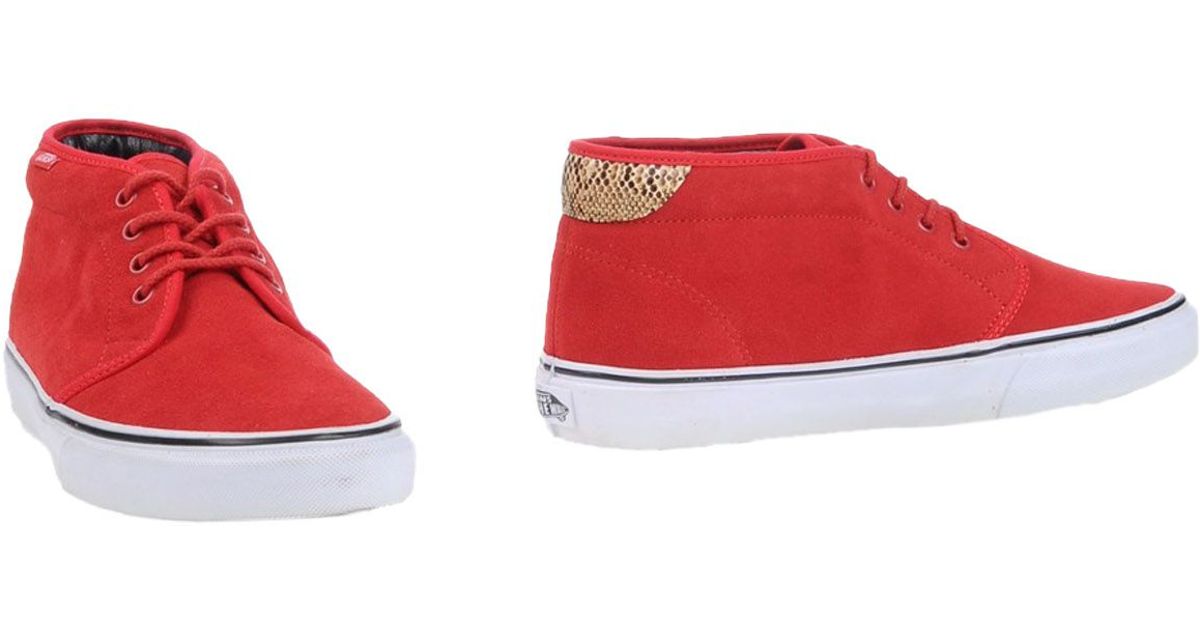 vans hurt back of ankle