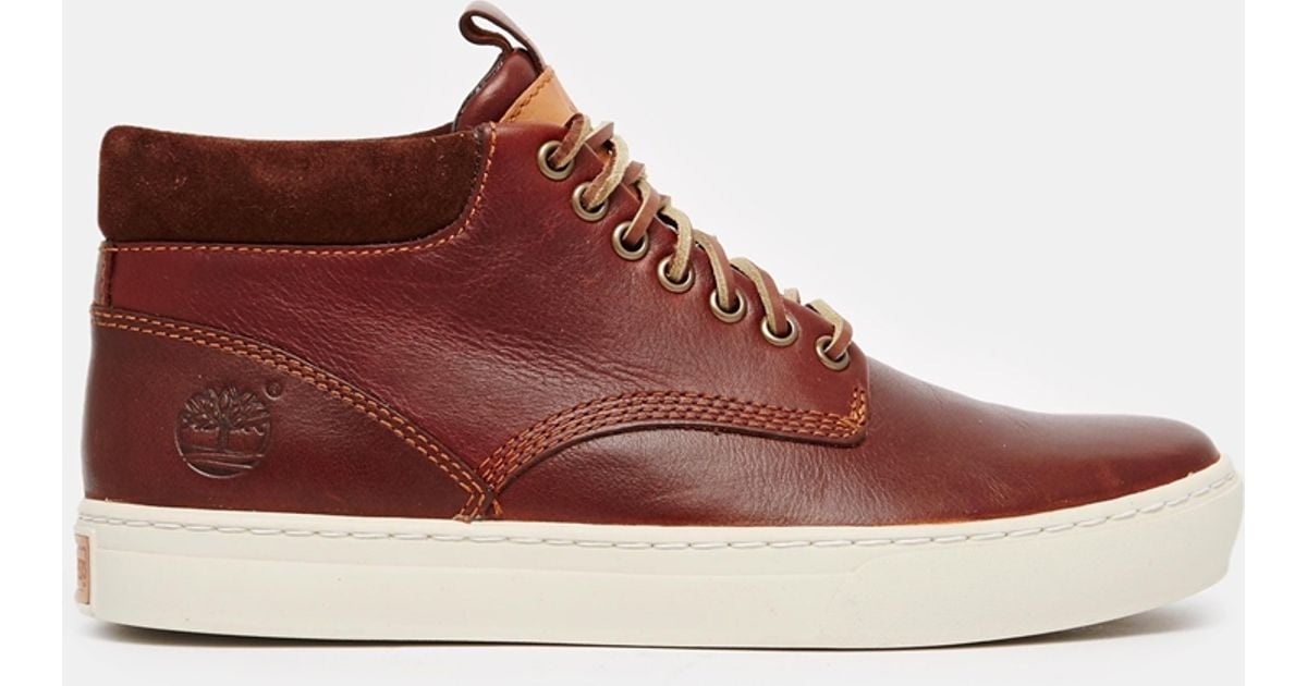 sneakers timberland sneakers timberland