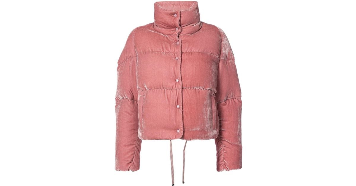 moncler cercis cropped velvet puffer coat moncler cercis cropped velvet puffer coat