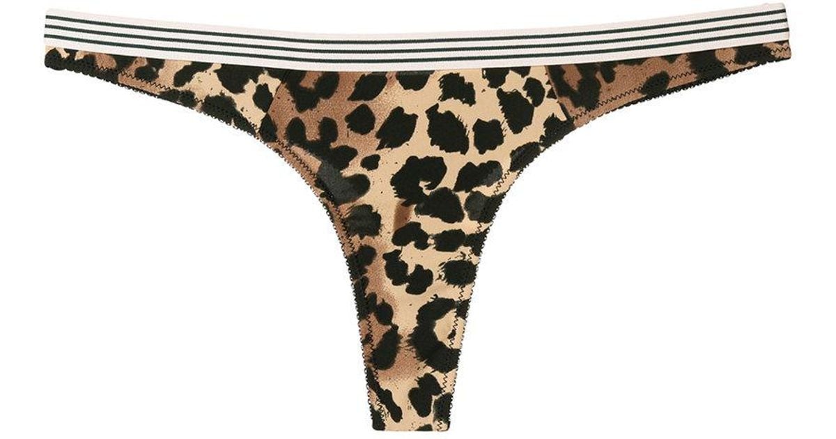 Love Stories Leopard Print Thong in Brown - Lyst