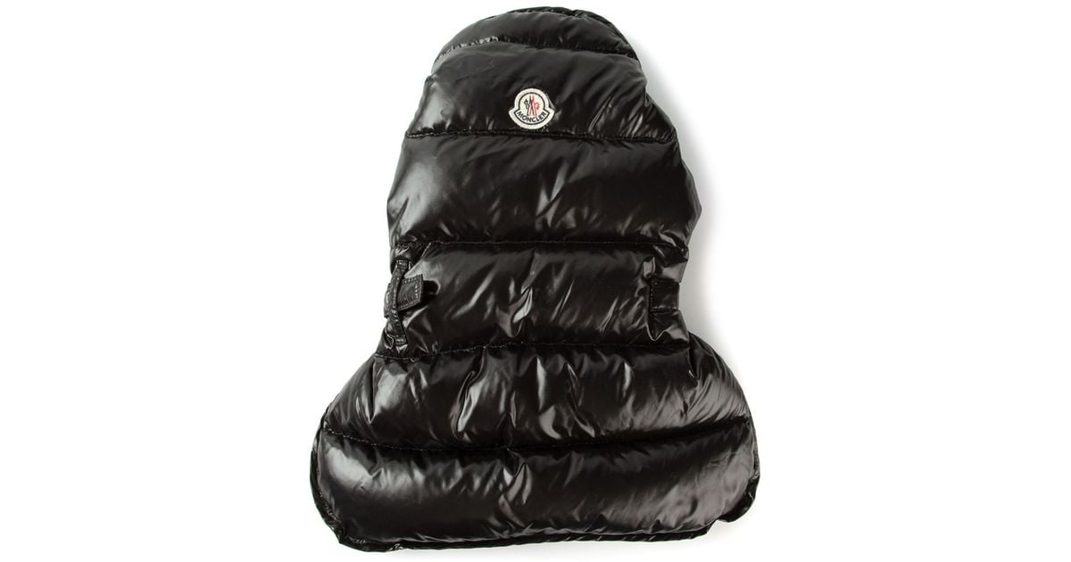 dog moncler coat