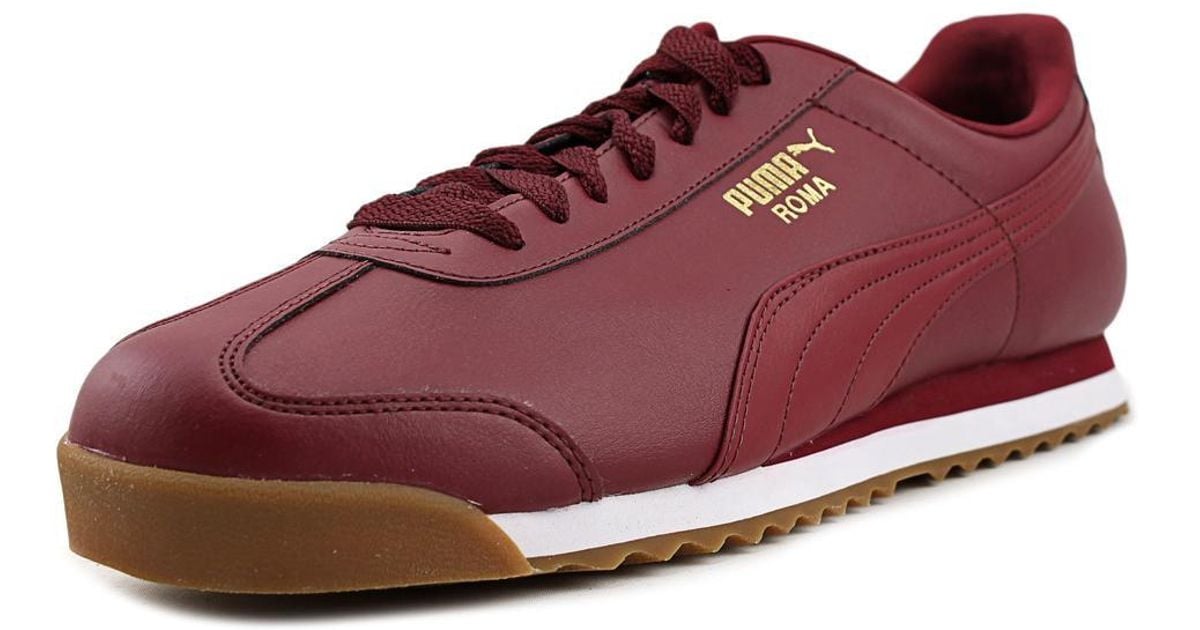 puma roma burgundy