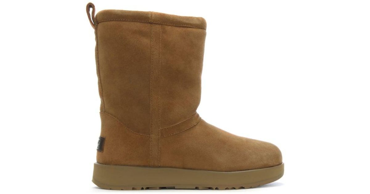 ugg classic short chestnut ugg classic short chestnut