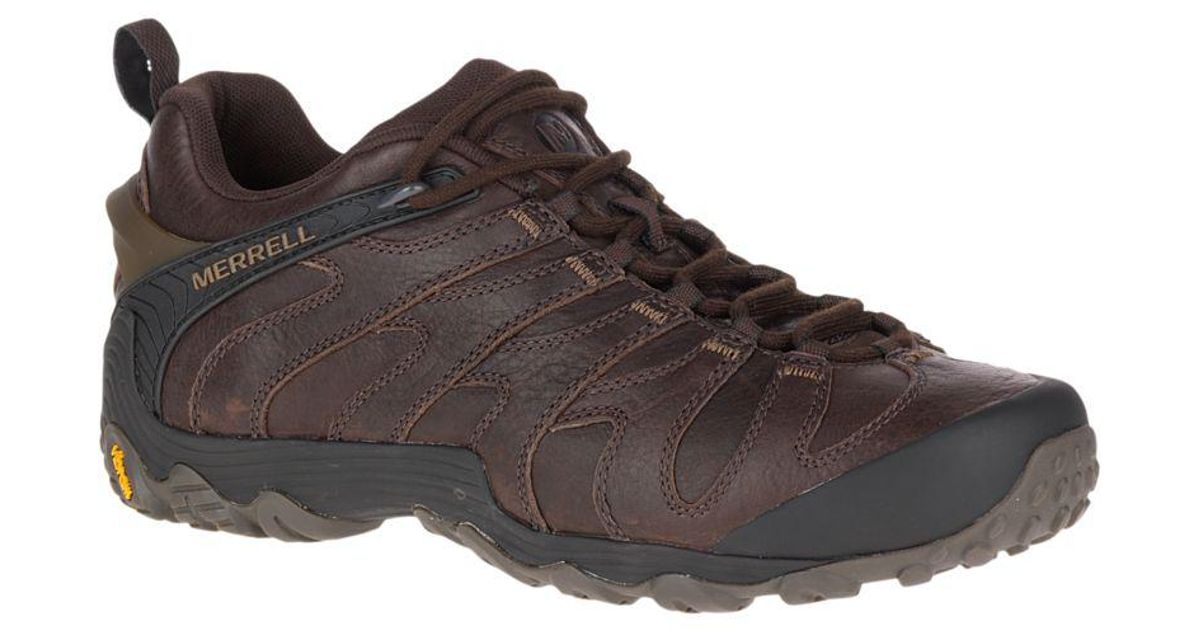 dc platform sneakers