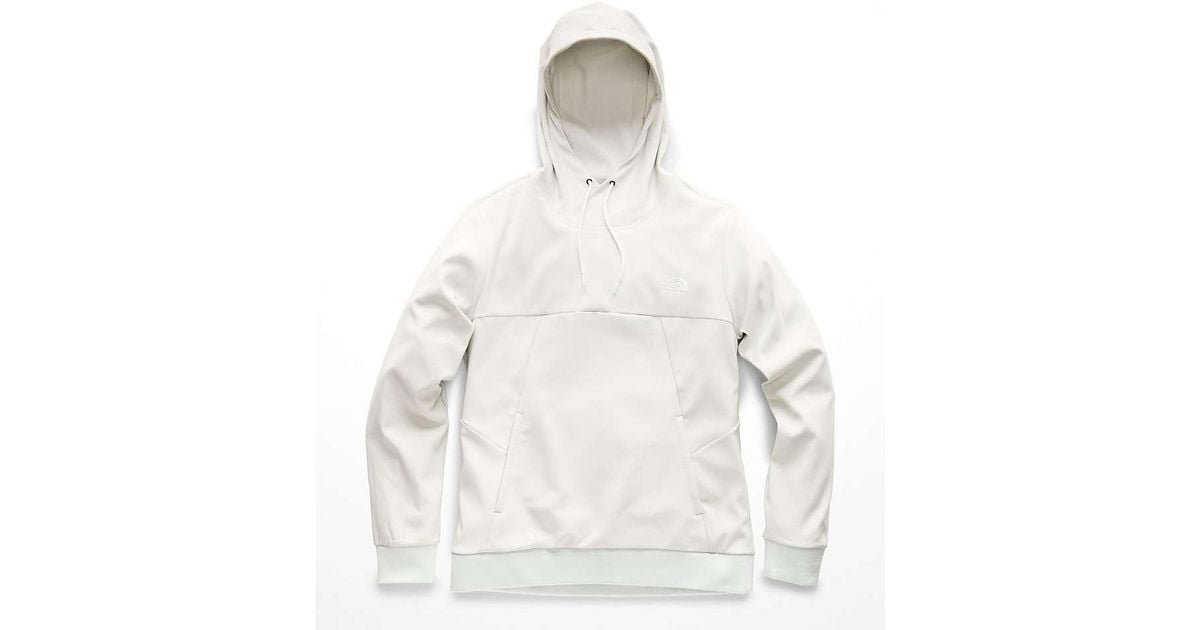 the north face tekno fresh hoodie