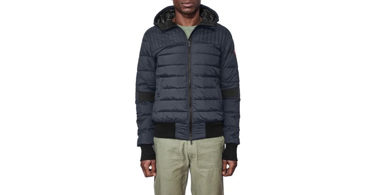 canada goose Polar Sea canada goose Polar Sea