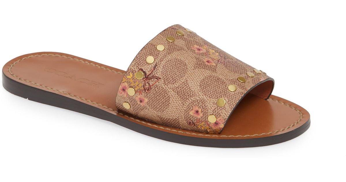 COACH Cecilia Studded Logo Slide Sandal in Brown - Lyst