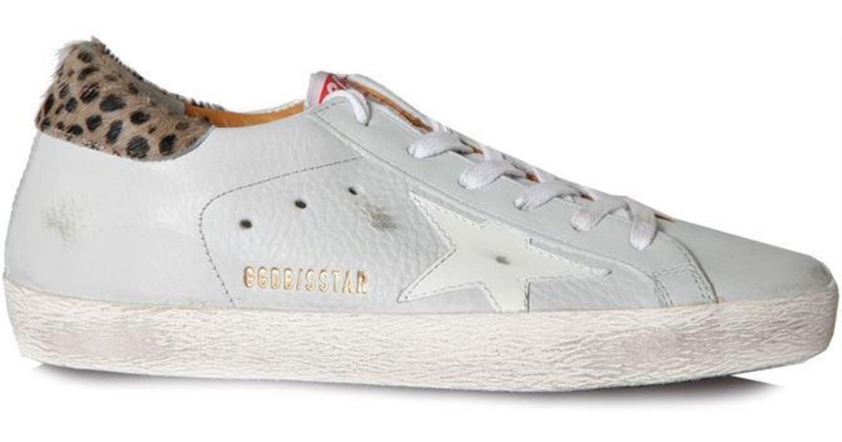 Sneakers Superstar Zebra Pony Ice Star Golden Goose