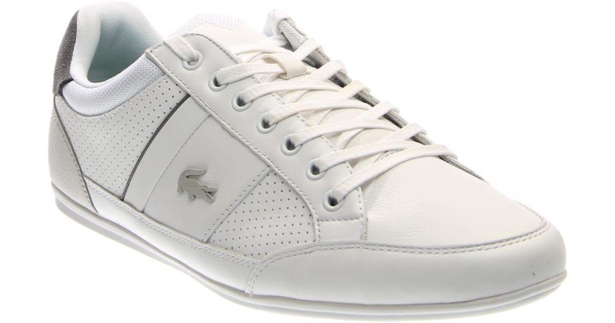 lacoste chaymon tan