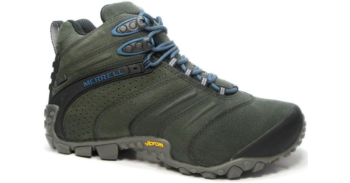 chameleon ii leather j80553