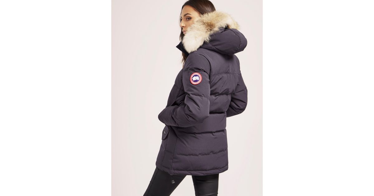 solaris canada goose