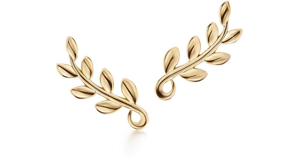 Tiffany Co Paloma Pico Olive Leaf Climber Earrings In 18k Gold Tiffany Co Paloma Pico Olive Leaf Climber Earrings In 18k Gold Green Lyst