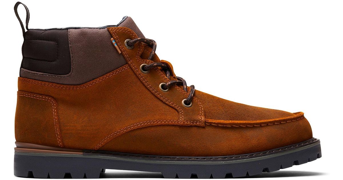tan toms