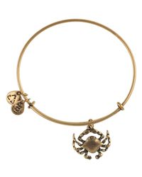 ALEX AND ANI | Gold Crab Expandable Wire Bracelet | Lyst