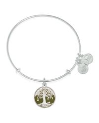 ALEX AND ANI | Silver Tree Of Life Color Infusion Expandable Wire Bangle | Lyst