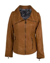 Doma Leather | Brown Double Collar Jacket | Lyst