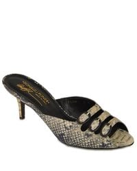 Donald J Pliner | Multicolor Lian - Snake Kitten Heel Slide | Lyst
