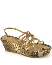 Stuart Weitzman | Multicolor Cage - Snake Wedge Sandal | Lyst