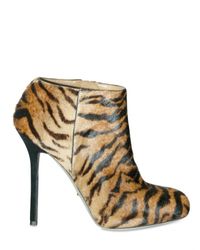 Sergio Rossi | Multicolor Tiger-Printed Calf Hair Bootie | Lyst