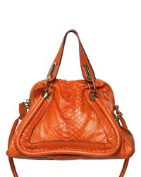 Chloé | Brown Paraty Medium Python Top Handle | Lyst
