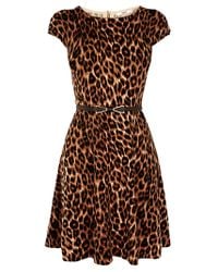 Oasis | Brown Animal Belted Fit Flare Knit Dress | Lyst
